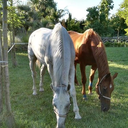 Tenuta Le Pantanelle Villa Sezze Bagian luar foto