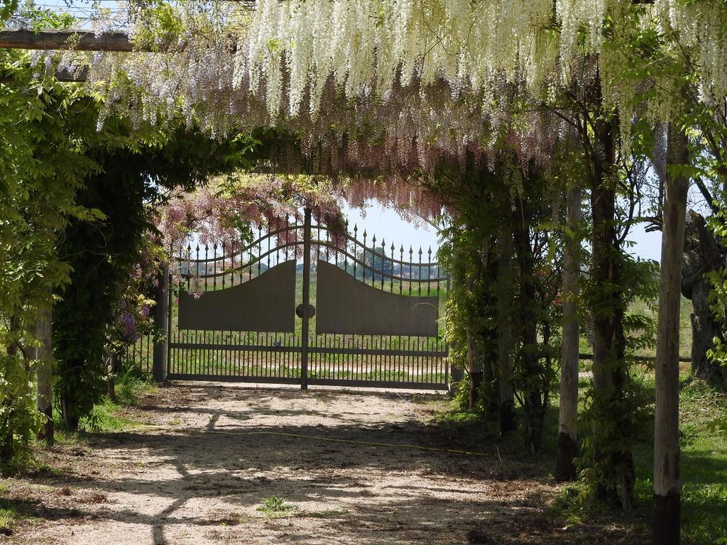 Tenuta Le Pantanelle Villa Sezze Bagian luar foto