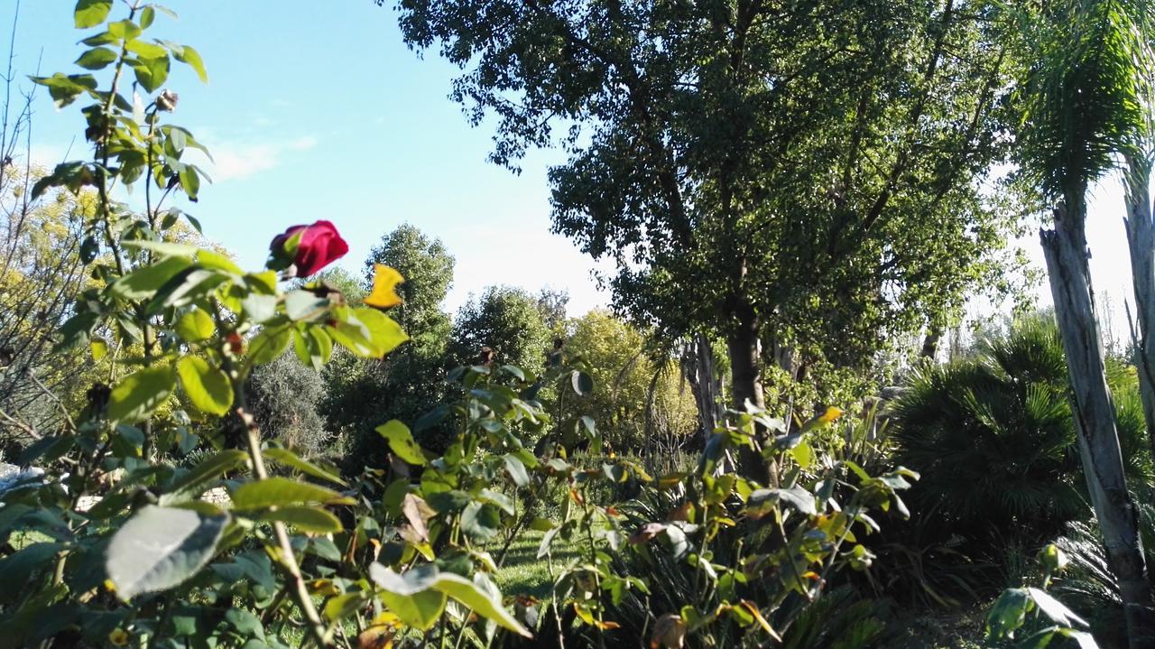 Tenuta Le Pantanelle Villa Sezze Bagian luar foto